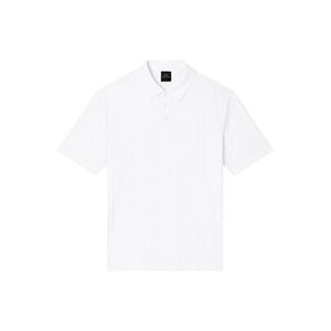 Armani Exchange White Cotton Polo Men's Shirt